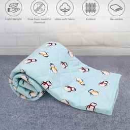 Mi Arcus Fun Days Reversible Quilt - Blue-81