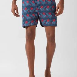 Peter England Blue Cotton Regular Fit Printed Boxers-picture-18