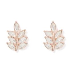 Forever New Rose Gold & Crystal Lorelei Leaf Stone Stud Earring-25