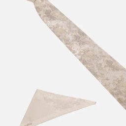 Allen Solly Beige Polyester Printed Tie & Pocket Square image 2
