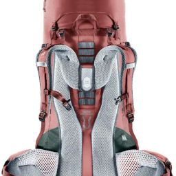 Deuter 45+10SL caspia-ivyBackpack image 5