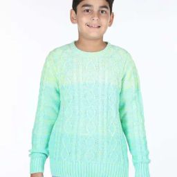 Wingsfield Boys Sea Green Self Full Sleeves Sweaters & Cardigans-image-40