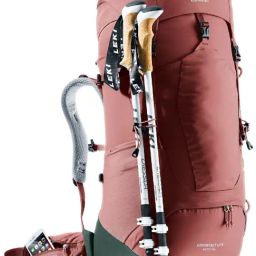 Deuter 45+10SL caspia-ivyBackpack image 2