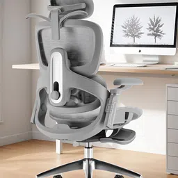 DROGO GreyAdjustable Seat & Lumbar Support Office Chair-picture-23