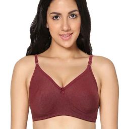 IN CARE Maroon Cotton T-Shirt Bra-image-28