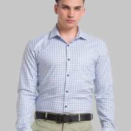 Park Avenue Blue Cotton Slim Fit Checks Shirt-image-103