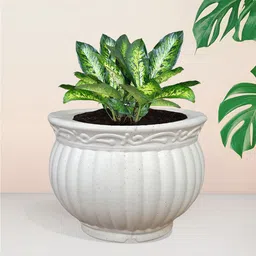 Kuber Industries White Textured Planter-47