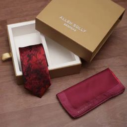 Allen Solly Red Polyester Printed Tie & Pocket Square-29