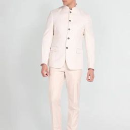 Arrow Beige Regular Fit Self Pattern Two Piece Suit-image-13