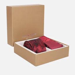 Allen Solly Red Polyester Printed Tie & Pocket Square image 5