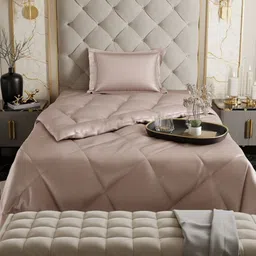 Stoa Paris Champagne Solid 3 Piece Single Regular Bedding Set image 2