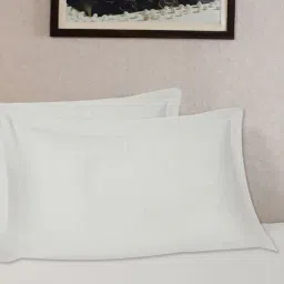 Maspar Woven Off White Cotton Blend Standard Size Pillow Sham - Set of 2-image-60