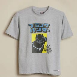Allen Solly Boys Grey Cotton Regular Fit Graphic Print T-Shirt-picture-18
