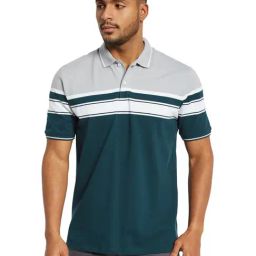Octave Pacific & Grey Cotton Regular Fit Colorblock Polo T-Shirt-picture-5