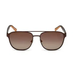 Timberland TB9146 56 49H Brown Polarized Aviator-31