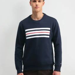 Arrow Sport Navy Cotton Regular Fit Striped Sweatshirt-image-49