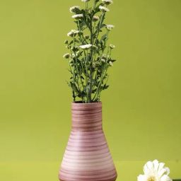 Tayhaa Pink Ceramic Vases-image-79