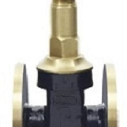Sants 25 mm Gun Metal Gate Valve, Flanged Rising Stem IS 4-image-12