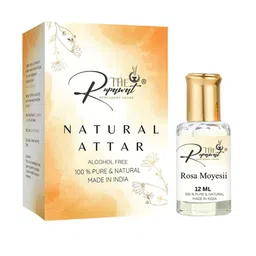 THE RUPAWAT Perfumery House Rosa Moyesii Natural & Alcohol free Attar - 12 ml-picture-49