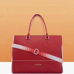Caprese Women Solid Structured Leather Handheld Bag-29