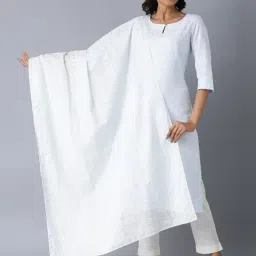 W Powder Blue Cotton Printed Dupatta-17