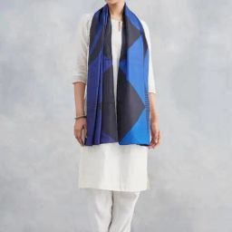 Fabindia Navy Printed Stole-image-50