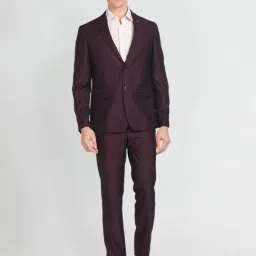 Arrow Maroon Regular Fit Two Piece Suit-image-73