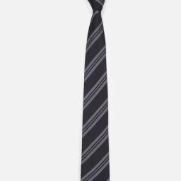 Van Heusen Black Polyester Striped Tie-picture-47