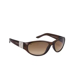 Walrus Men Brown Lens & Brown Oversized Sunglasses WSGW-VCT-III-090909-Brown-image-40