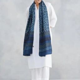 Fabindia Blue Cotton Printed Stole-image-48