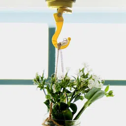 FECA Yellow Solid D25 Diana Suction Hook-30