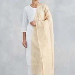 Fabindia Beige Embroidered Dupatta-picture-32