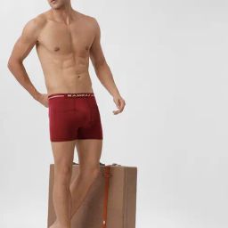 Ramraj Multicolor Solid Trunk (Pack of 3) image 5