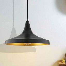 Homesake Black Danish Shaped Metal Hanging Light-11