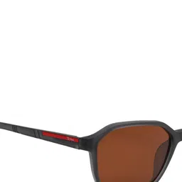 Ted Smith Unisex Brown Rectangular Sunglasses With Polarised Lens image 4
