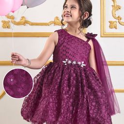 Mark & Mia Sleeveless Knee Length Sequin  Embroidered Party Frock with Bow & Floral Applique - Wine-image-92