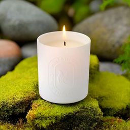 Ekhasa White Osmanthus Fragrance Scented Jar Candle-image-37