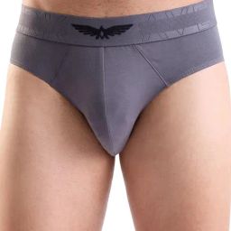 Park Avenue Grey Regular Fit Briefs-picture-7