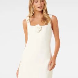 Forever New Porcelain A Line Dress-picture-19