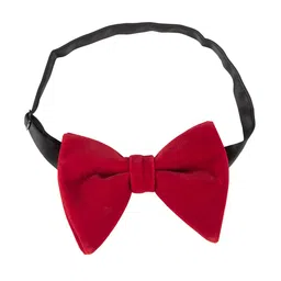 Alvaro Castagnino Microfibre Bow Tie-picture-22