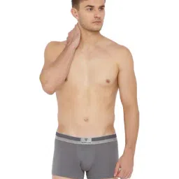 Van Heusen Grey Trunks-picture-20