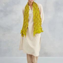 Fabindia Green Printed Stole-picture-38