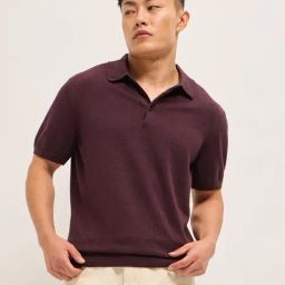 The Bear House Maroon Regular Fit Solid Polo T-Shirt-image-68
