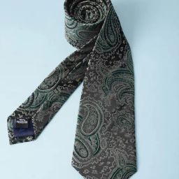 Van Heusen Green Microfiber Embroidered Tie-image-98