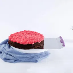 Wonderchef Grey Ambrosia Steel Cake Lifter-49