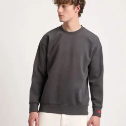 The Bear House Grey Cotton Regular Fit Sweatshirt-30