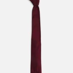 Louis Philippe Maroon Polyester Tie-picture-20