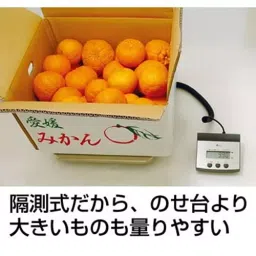 Shinwa Rules Digital Platform Scale 100 Kg Weighing Capacity, 70108 image 5