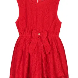 Budding Bees Kids Red Self Design Dress-picture-12