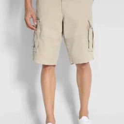 American Eagle Beige Cotton Regular Fit Cargo Shorts-image-21